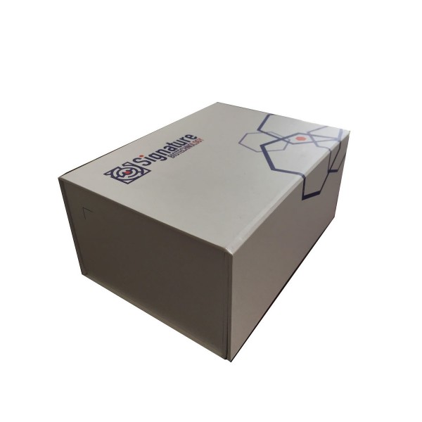 PG21 - Vaccine Paper Box 
