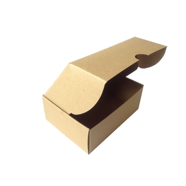 PG01 - Kraft Paper Box 